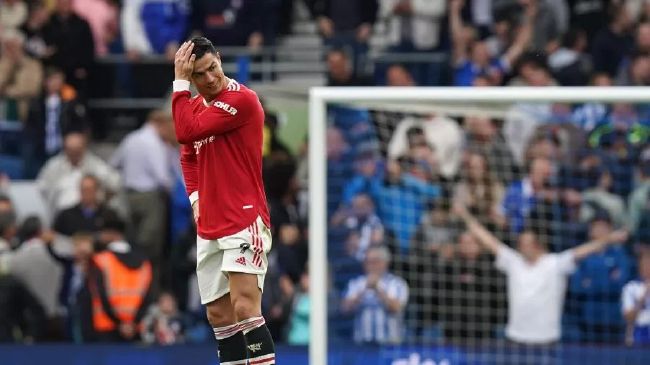 电视连续剧孤战迷城免费播放